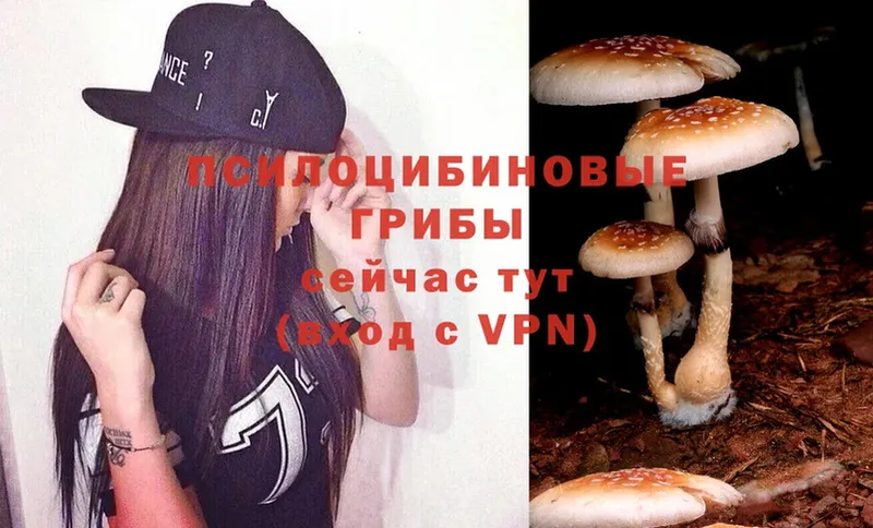 закладки  Бабаево  Галлюциногенные грибы Magic Shrooms 